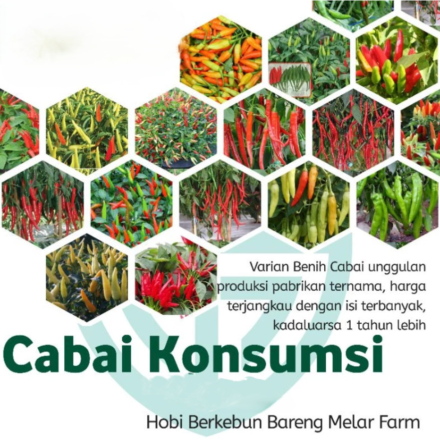 Biji Benih Bibit ANEKA BIBIT BENIH CABE