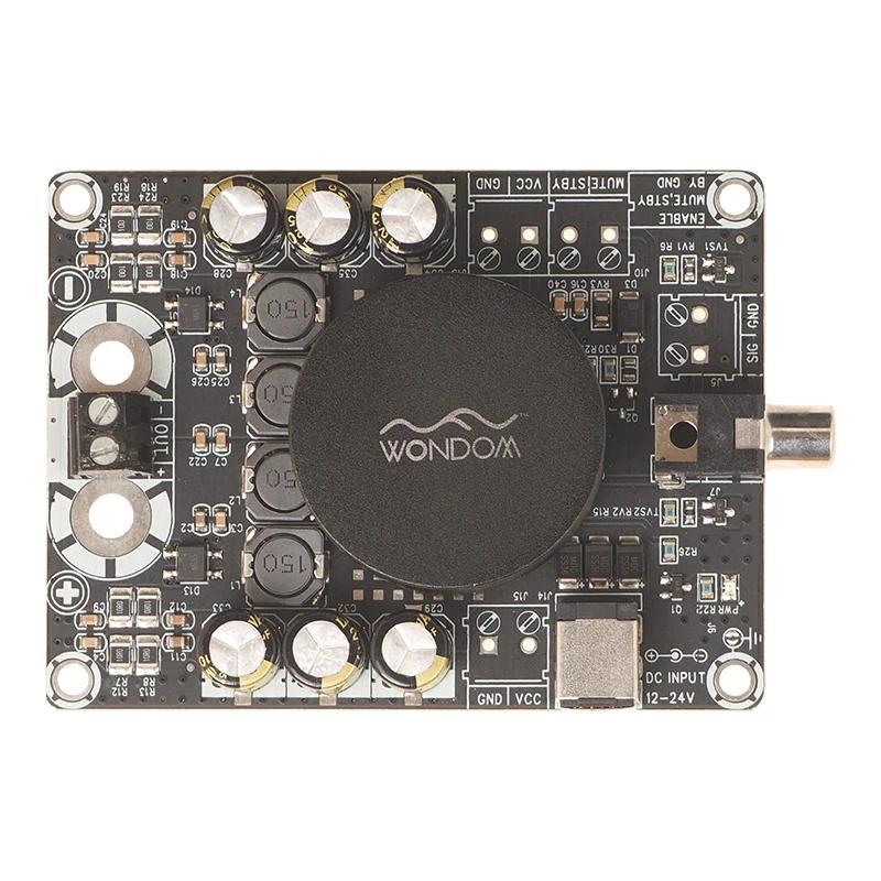 WONDOM 1 x 100Watt High Power Class D Amplifier Board  TPA3116 Mono Auo Amplifier Module