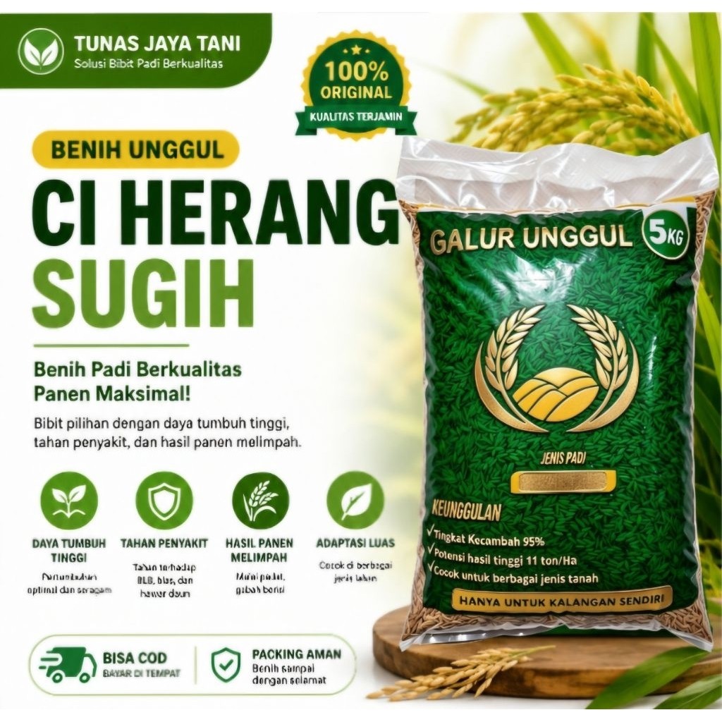 benih padi ciherang sugih