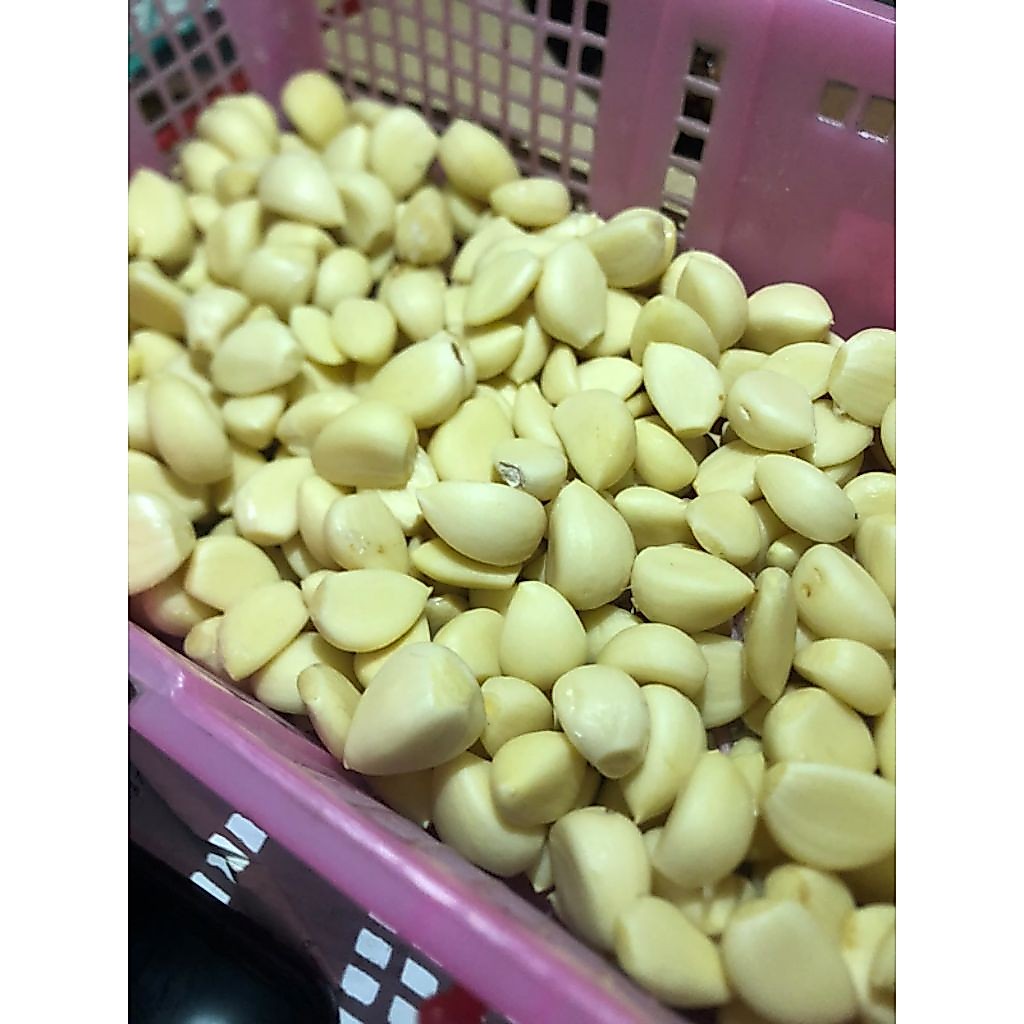 Bawang Putih Kating Kupasan