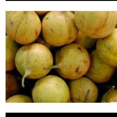 

[AR] buah pala utuh1000gr