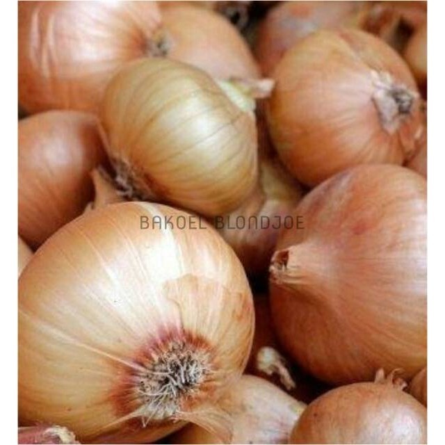 

BAWANG BOMBAY 500GR / BOMBAI / ONION / FRESH VEGETABLES / VEGETABLE / SAYUR SAYURAN SEGAR ONLINE