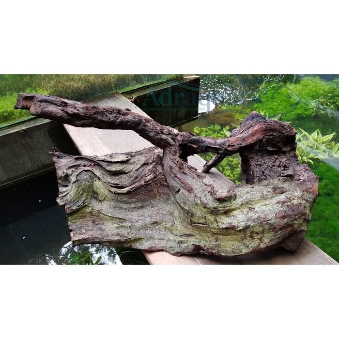 Sale KAYU BAKAU 1KG 1 KG HIASAN AQUARIUM AQUASCAPE - KECIL 30-40 CM Tbk