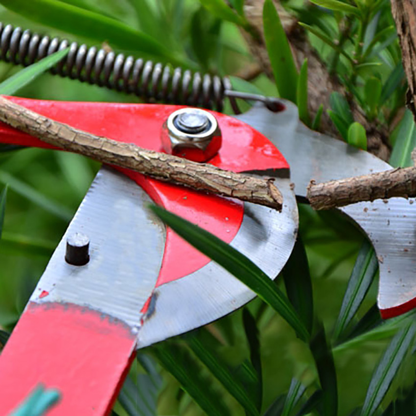 lekmeen- Gunting Dahan Tarik Pisau Tali Pohon Alat Tanaman Pruner Tree Pruner