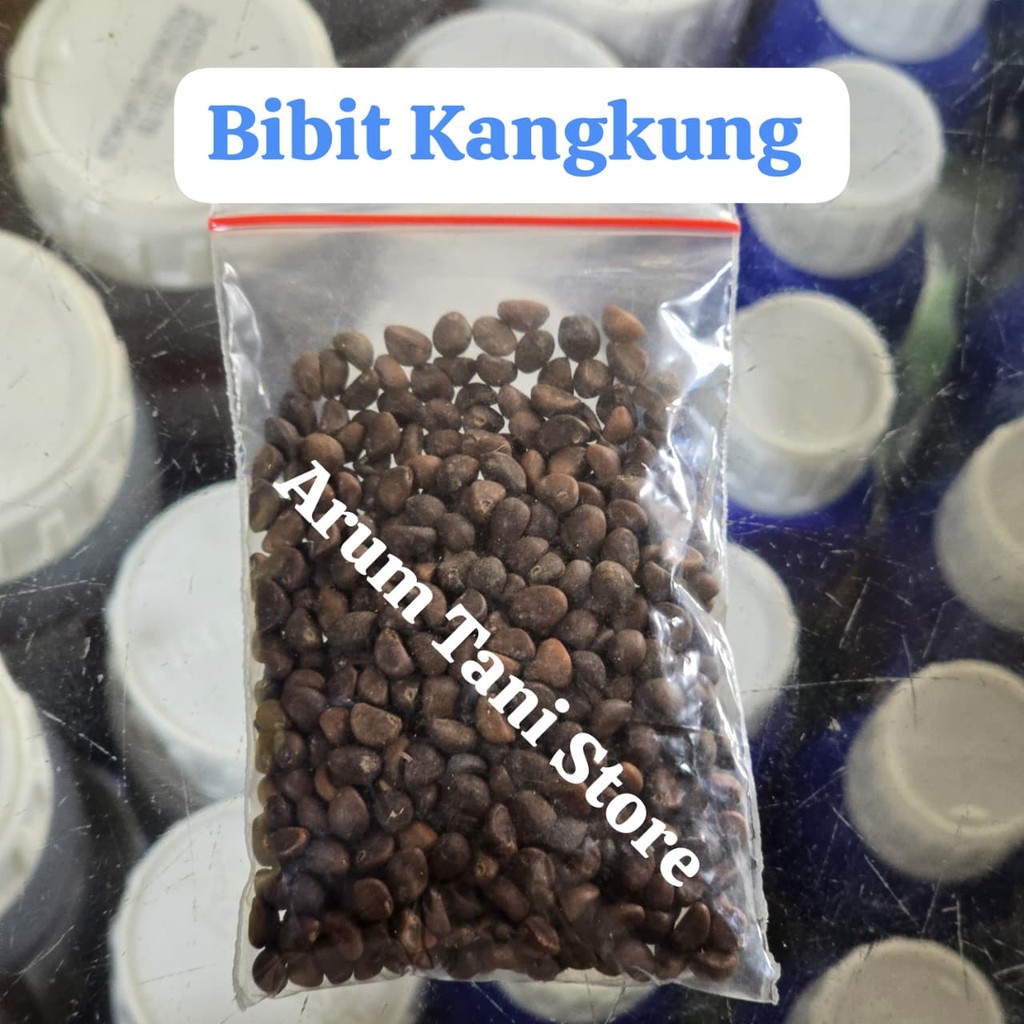 Benih Kangkung Unggul | Bibit Tanam Cepat Panen | Sayur Hidroponik / Tanah