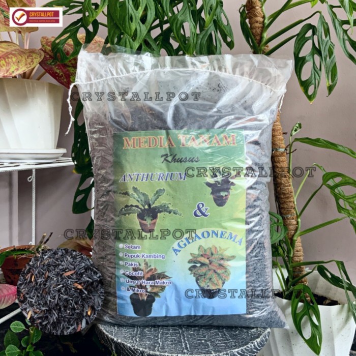 MEDIA TANAM ORGANIK KHUSUS ANTHURIUM AGLAONEMA SIAP PAKAI - AGLAONEMA