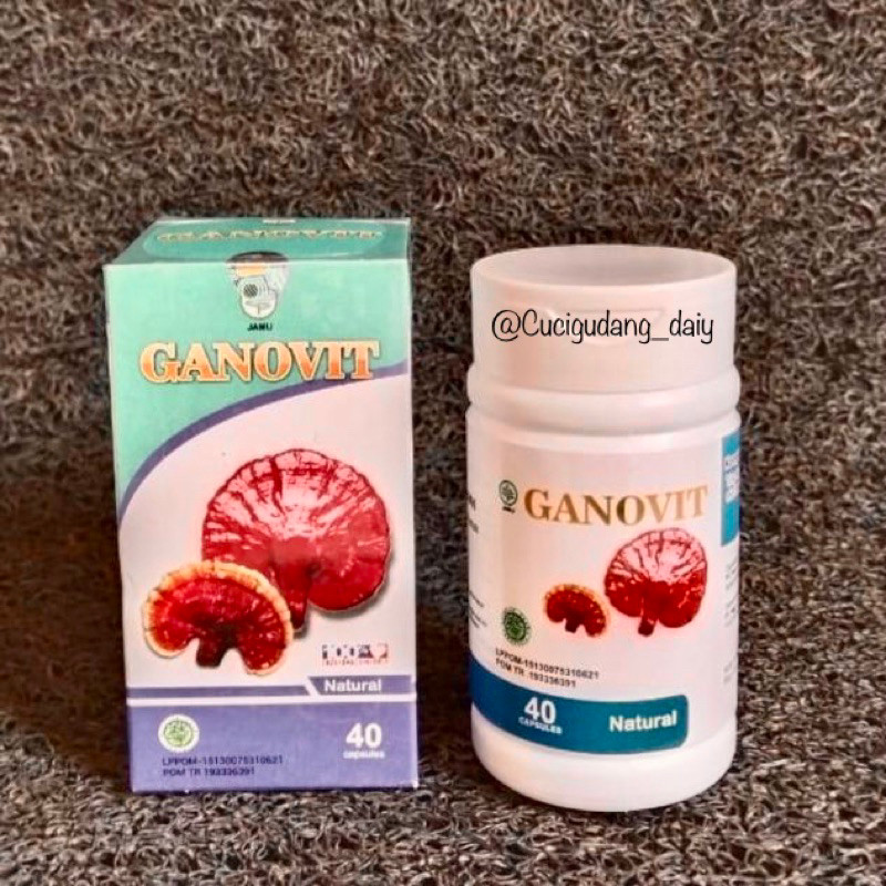 GANOVIT JAMUR LINGZHI SOLUSI KESEHATAN TUBUH HARGA 1 BOTOL ISI 15 KAPSUL100% ORIGINAL