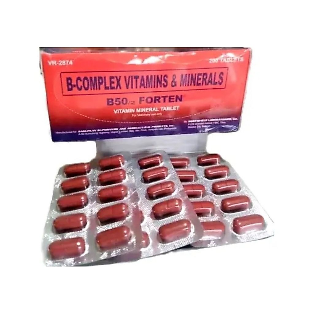 B complex vitamin b50 forten ayam laga