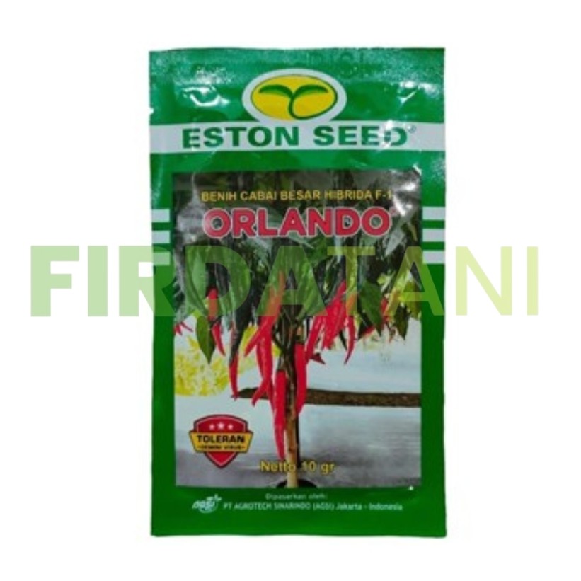 Benih Cabe Besar F1 Orlando Toleran Gemini Virus dan Fusarium