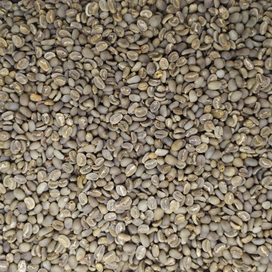 

JAMIN MURAH !!!GREEN BEAN KOPI MENTAH ARABIKA TORAJA KALOSI SEMI WASH GRADE 1 - 1KG(BISA LANGSUNG ORDER)