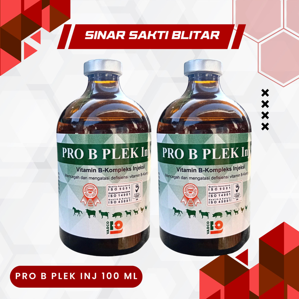 PRO B PLEK INJ 100 ML - Vitamin B kompleks Hewan Sapi Kambing Domba