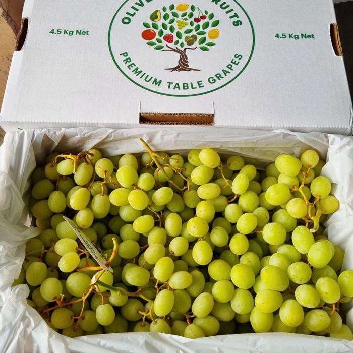 

Anggur hijau sweet globe super manis garing fresh box 4,5 kg