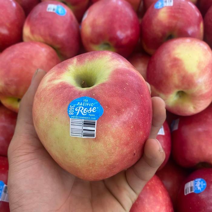 

Apel pasific rose stiker biru / buah apel pasific rose super jumbo1kg