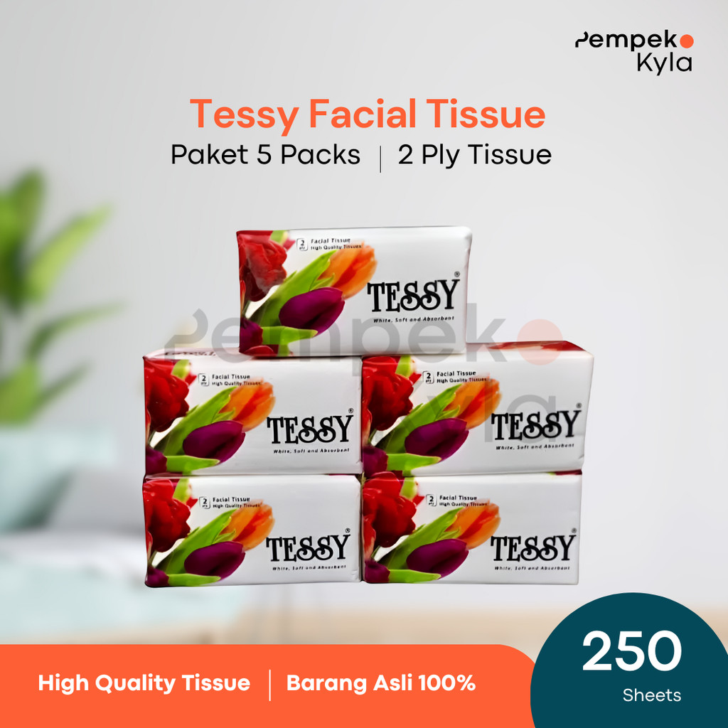 Paket Tissue Tessy 250 Sheets 2 Ply isi 5 Packs