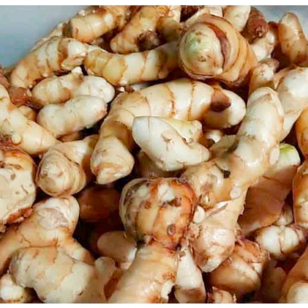 

KUNYIT PUTIH/TEMU PUTIH 1 kg Obat tradisional