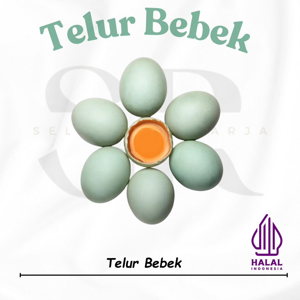 

Telur Bebek Mentah Fresh 70 gram Tangerang
