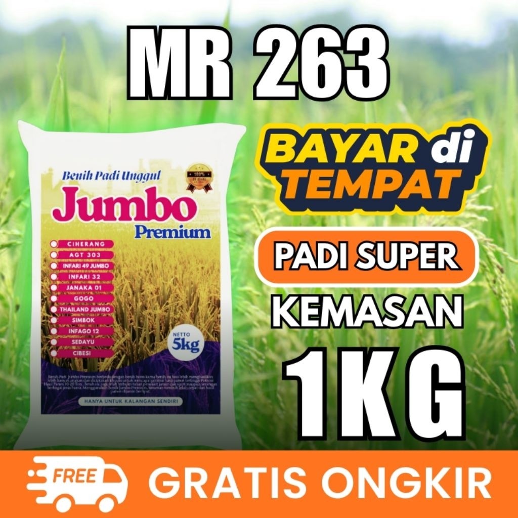 Padi mr 263 kemasan 1kg padi mr terbaru