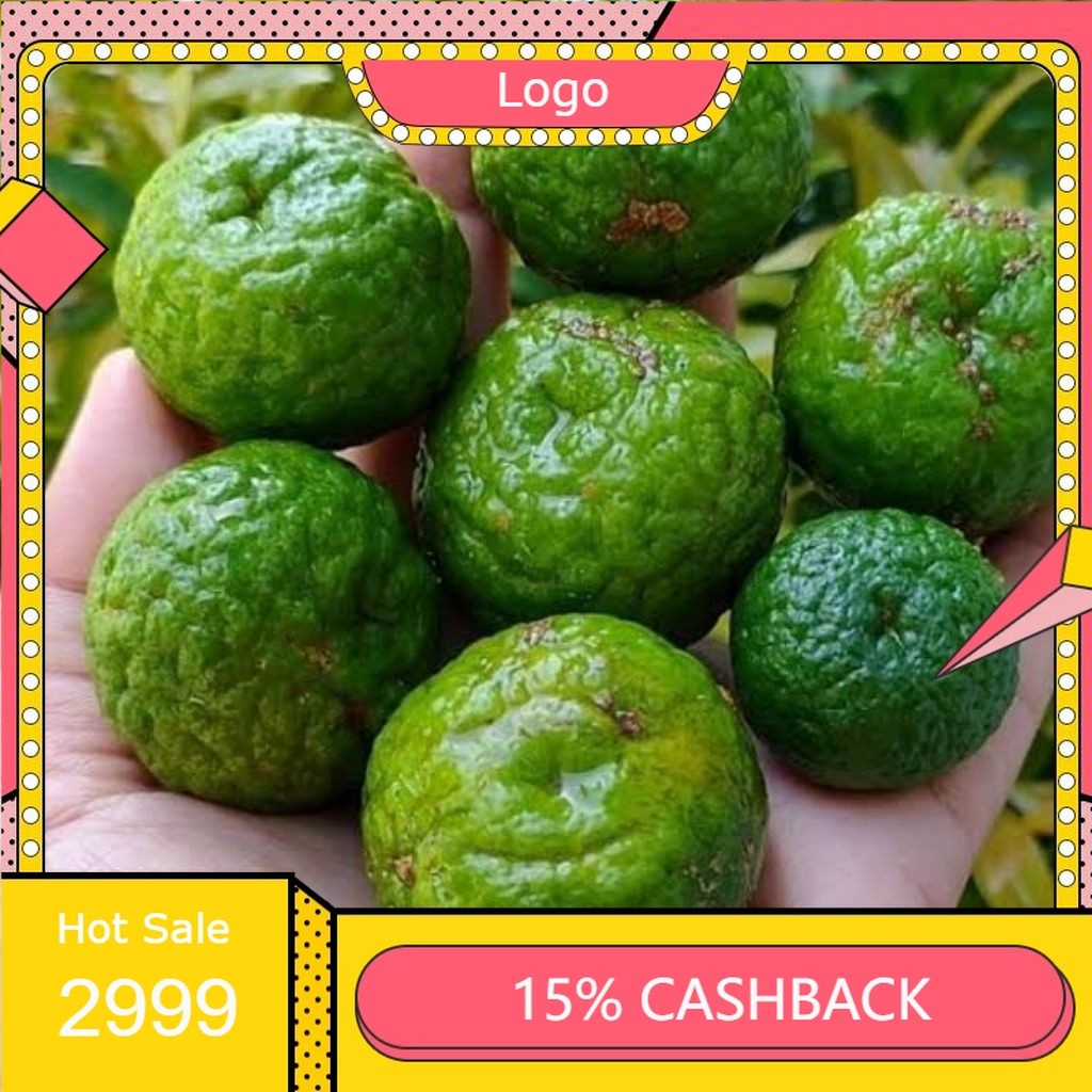 

jeruk limo / limau 1kg di petik langsung di kebun