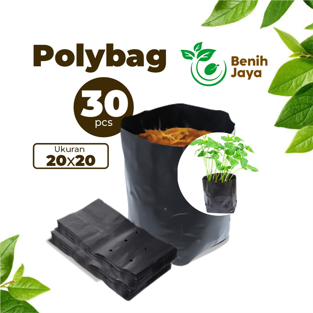 BENIH JAYA - Polybag Ukuran 20x20 Polibag 30Pcs Polybag Kuat Tebal Tidak Mudah Sobek Polybag Kuat Te