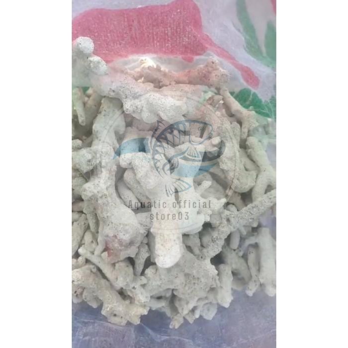 Karang jahe 1kg / karang jahe / batu karang jahe 1kg / batu karang jahe