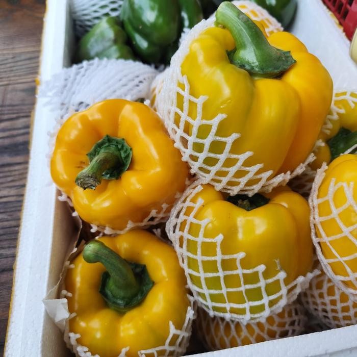 

Paprika kuning | capsicum yellow fresh promo 1 kg