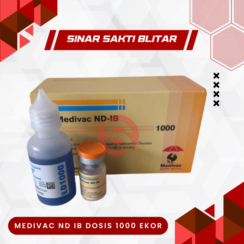 VAKSIN ND IB DOSIS 1000 EKOR + PELARUT MEDIVAC MEDION - Telo Tetelo Ayam Burung Bebek Unggas Newcast
