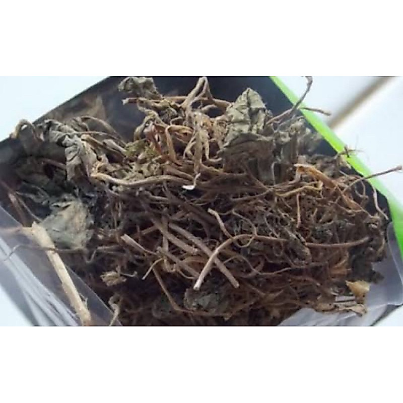 Daun patikim kering / semanggi gunung kering 400 gram-az