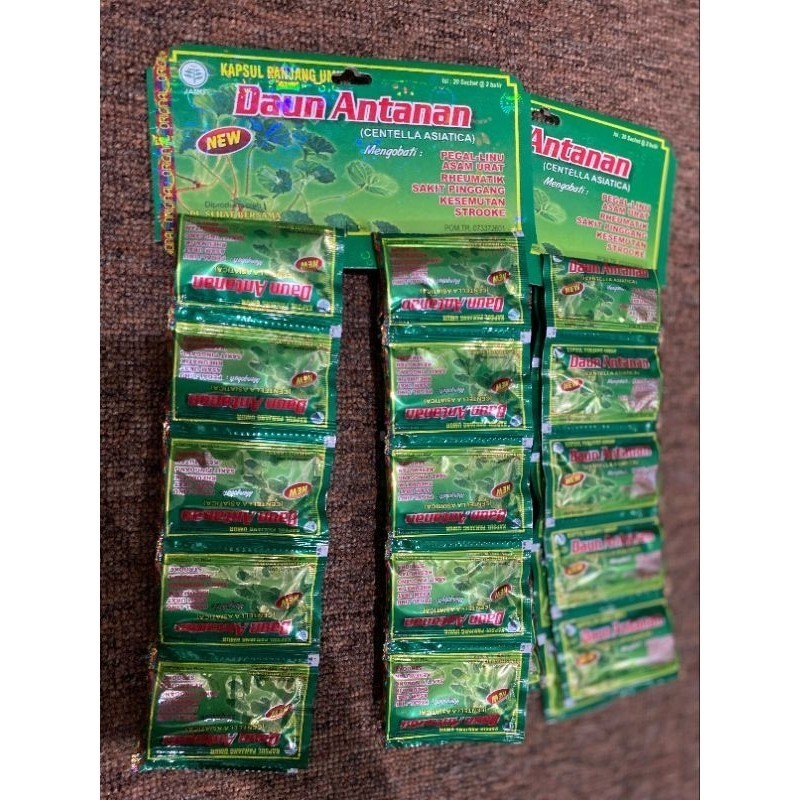 [ PROMO ] DAUN ANTANAN  KAPSUL