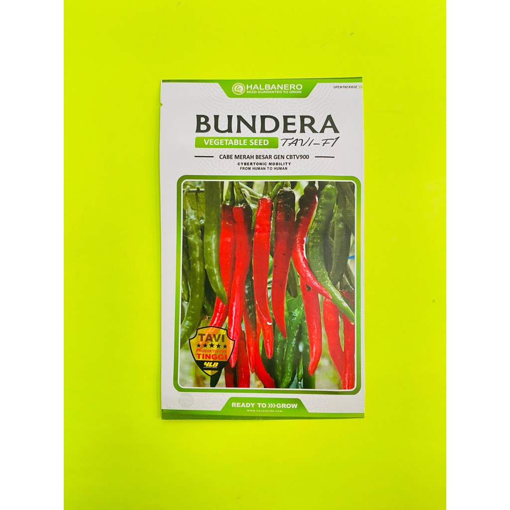 Benih cabai besar gen cbtv900 BUNDERA TAVI F1 tahan virus isi 1600 biji dari HALBANERO