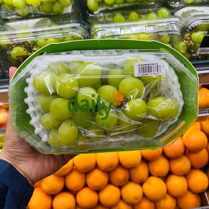 

Promo Anggur hijau manis | anggur shine muscat korea premium seedless box