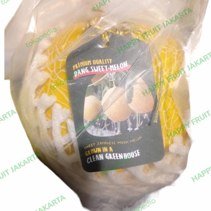 

Melon inthanon Jepang / pics