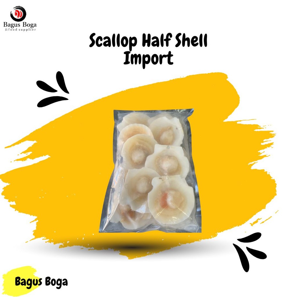 

Scallop Half Shell Import