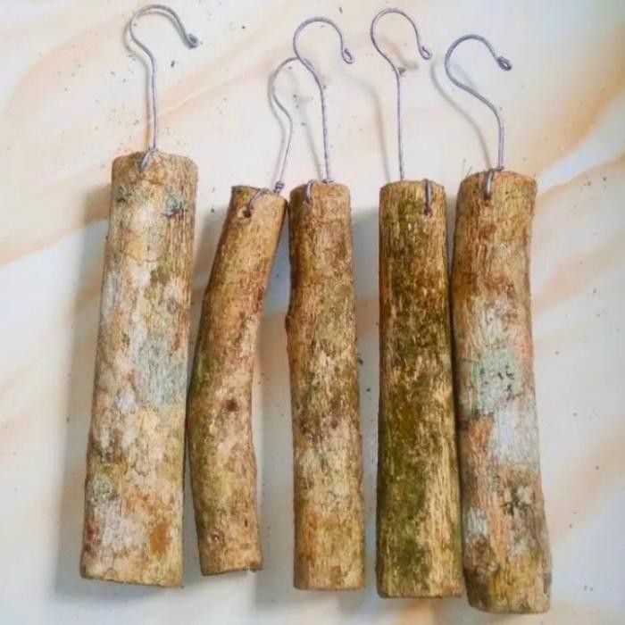 media tanam kayu kopi, kayu kopi untuk media tanam anggrek