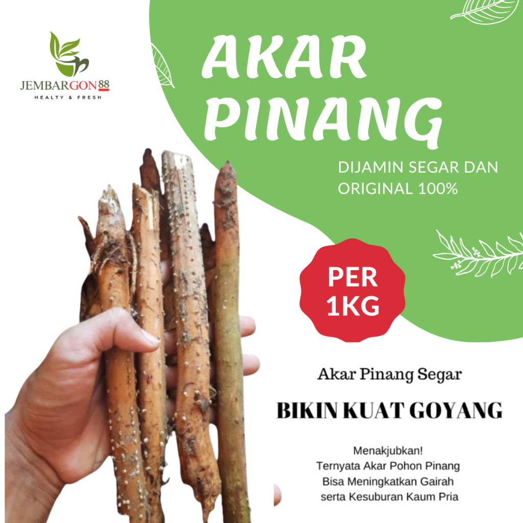 Akar Pinang Segar 1kg Peningkat Gairah & Kesuburan Pria Dewasa / Akar Pinang