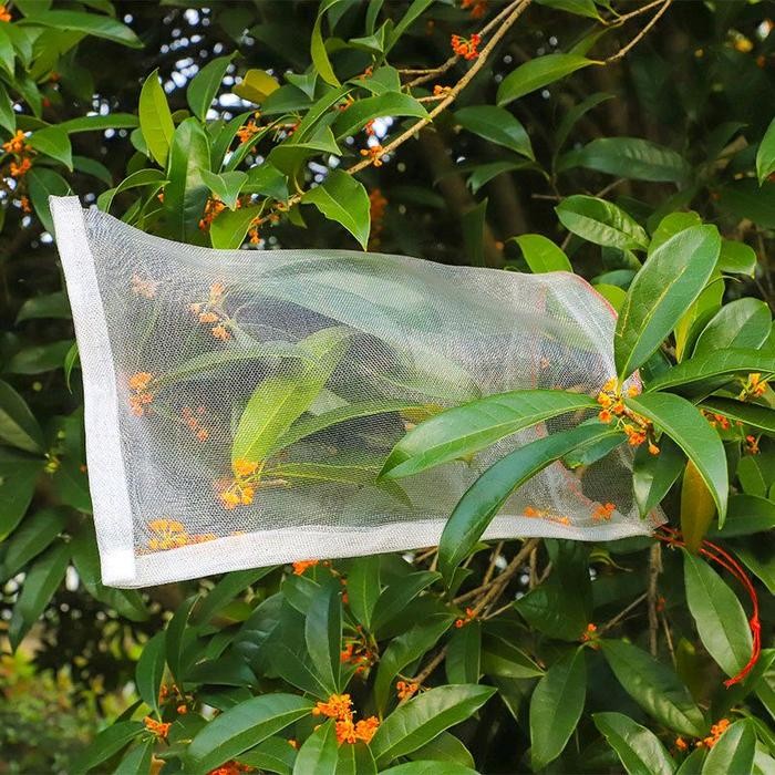 Fruit cover net jaring transparan pembungkus buah Kelengkeng Anggur dl - 15 x 10