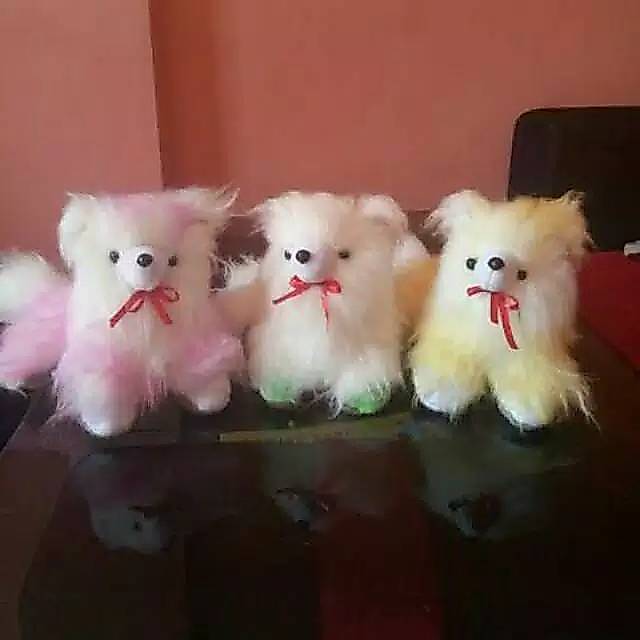 BONEKA KUCING ANGGORA