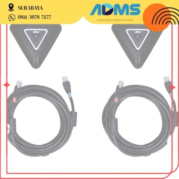 Aver "Expansion Pair- Microphone w/5M  cable for VC520Pro3"