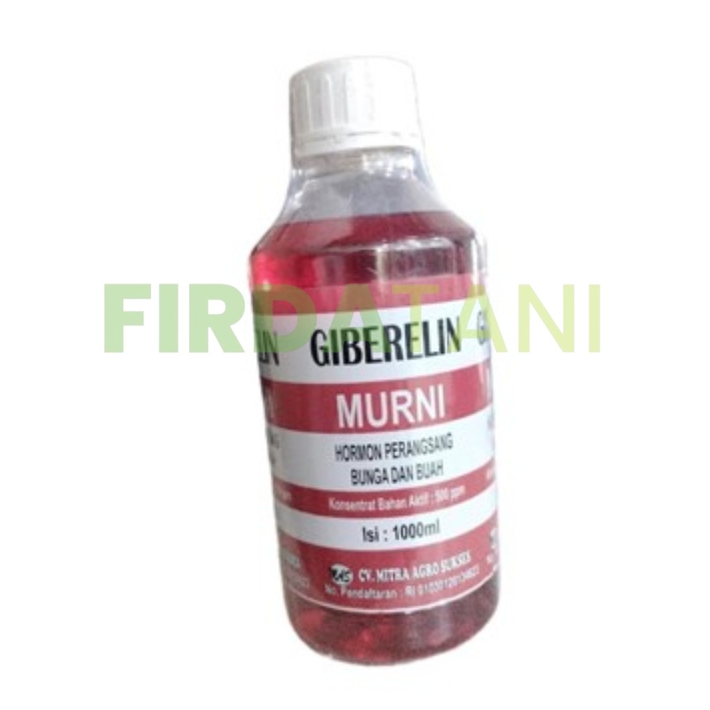 Hormon Giberelin 1 Liter Meningkatkan Bunga Buah dan Hasil Panen