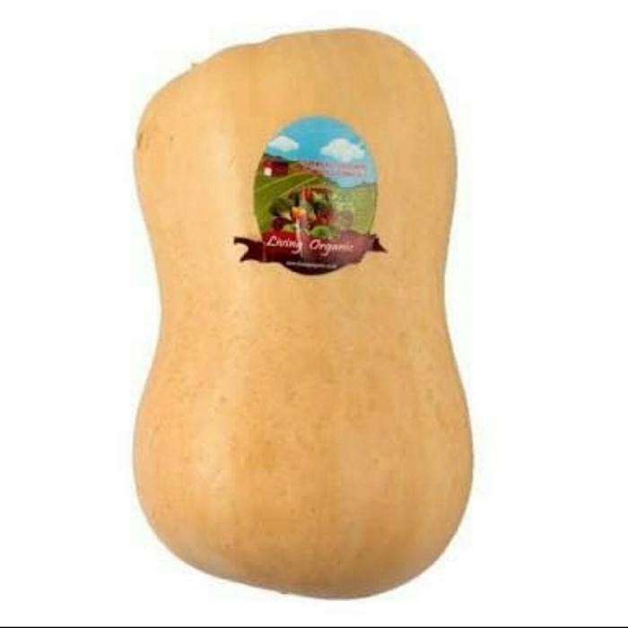 

Pumpkin Butternut Organik 0.6 kg