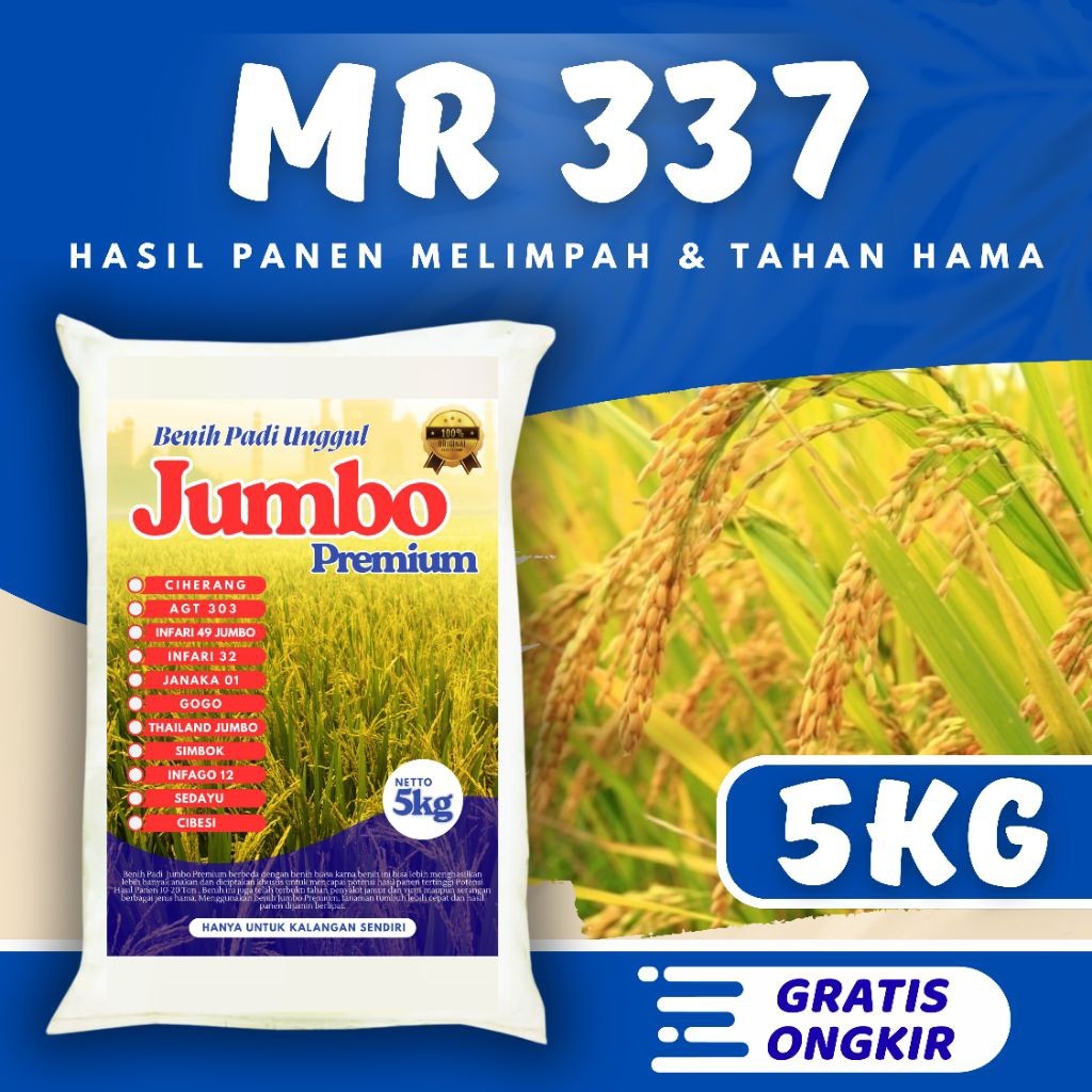 Benih padi unggul mr 337 original 5kg Berkualitas / Anti Roboh / Anti Hama - SRI JAYA FARM