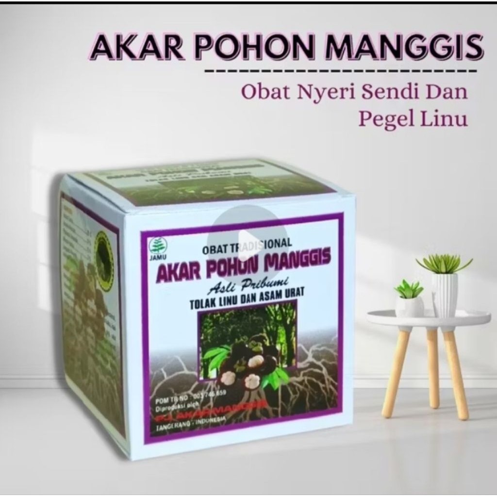 TERLAJAK LARIS  TERLARIS.. Akar Pohon Manggis Original 1 Box ~ CSNDRA