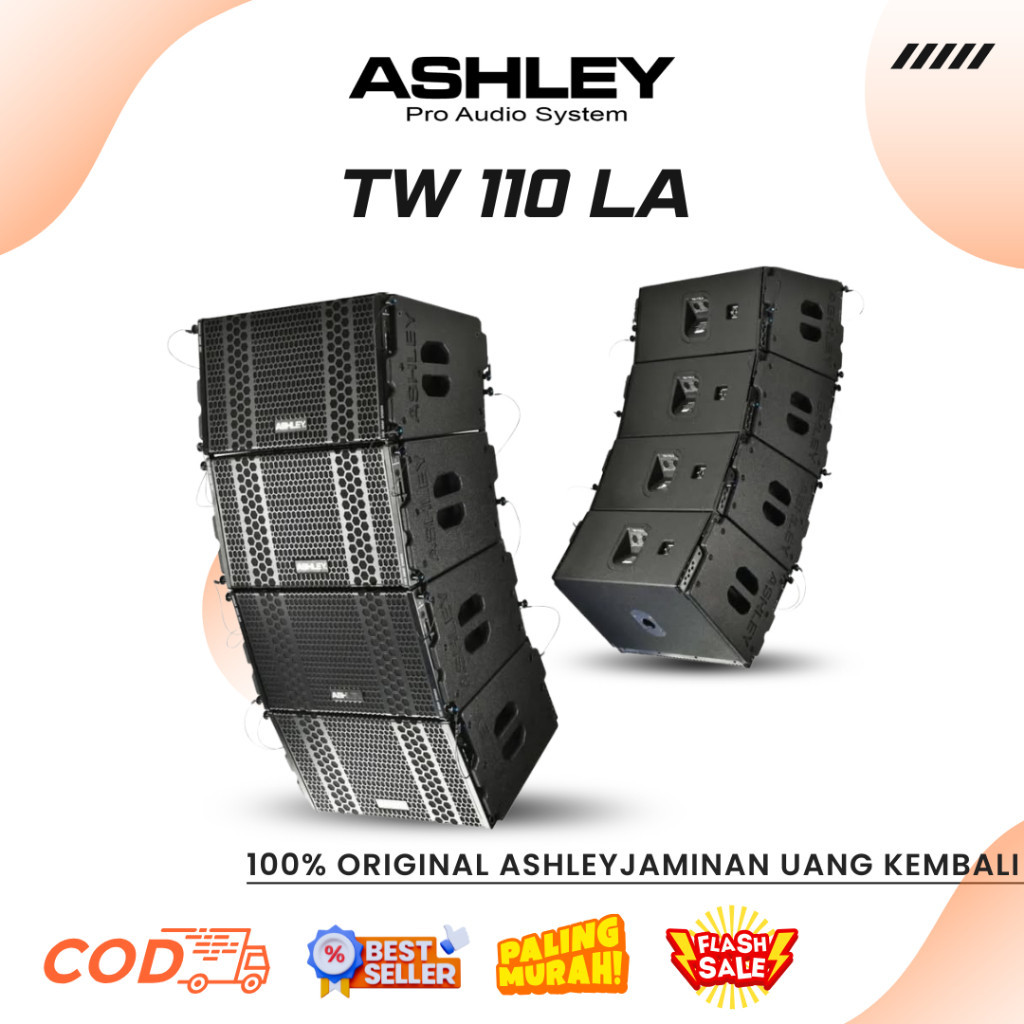 Line Array Ashley TW 110 LA Professional Line Array Speaker