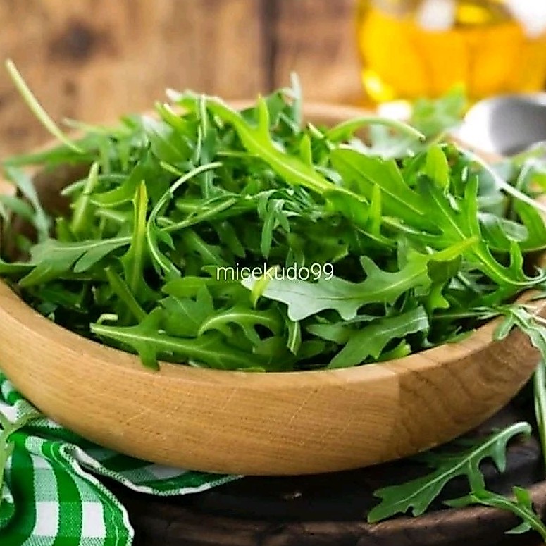 WILD RUCOLA ORGANIK RUCCOLA FRESH SEGAR ROCKET DAUN ARUGULA LETTUCE SELADA SAYUR