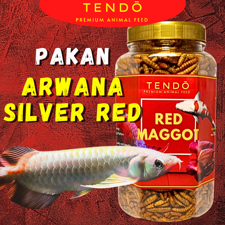 TERLARIS Makanan Arwana Silver Red Udang Kering Maggot Kering Warna Cerah Cepat Besar Tendo