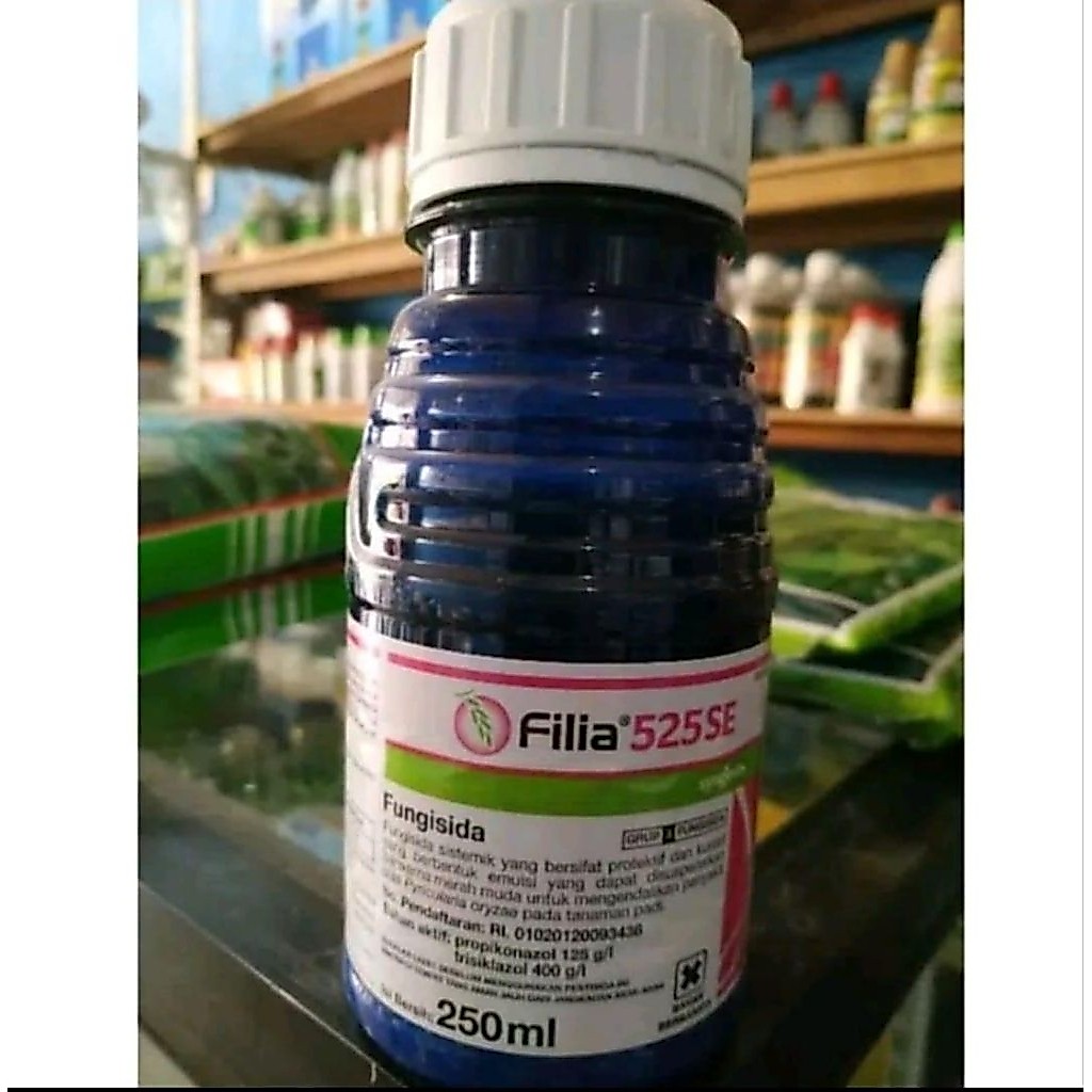 Fillia 250ml