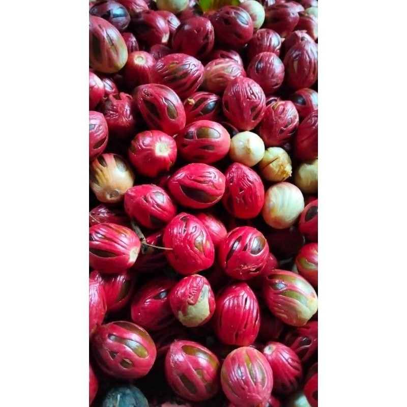 

sempara atau bunga pala atu puli 50 g