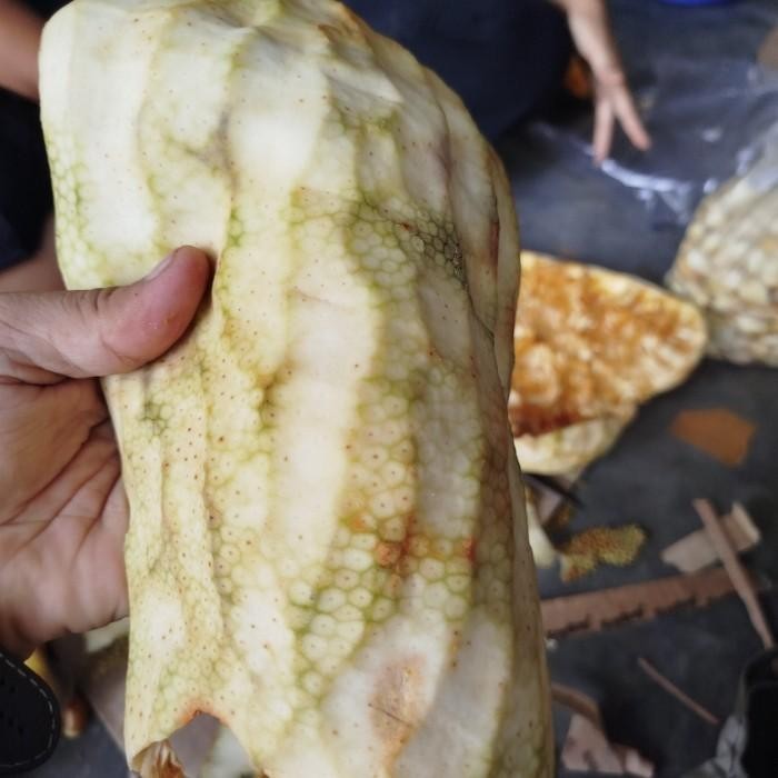 

Termurah kulit mandai 500 gram cempedak segar