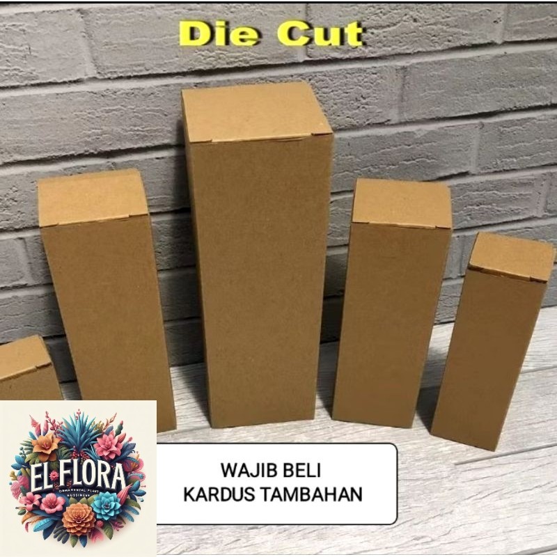 

(KHUSUS TANAMAN) WAJIB BELI Kardus Tambahan Packing Tebal & Kuat Agar Aman Dalam Ekspedisi