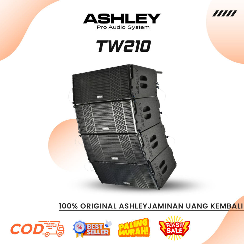 Line Array Ashley TW 210 Professional Line Array Speaker
