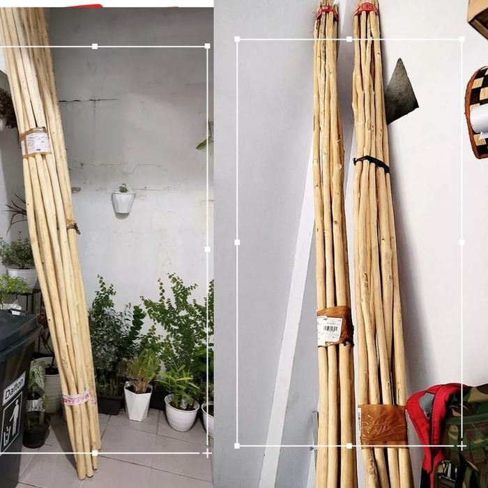 Ranting Pohon Jati Kayu Ranting Dekorasi panjang 100-200 cm - panajng 3 meter JOO42